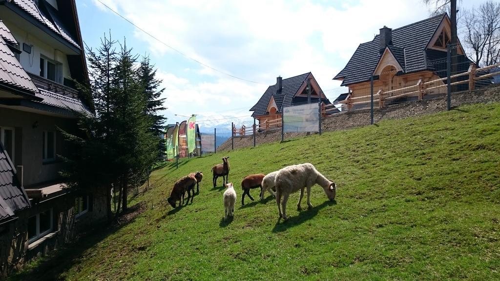 Willa Skorusyna Bed & Breakfast Gliczarów Exterior foto